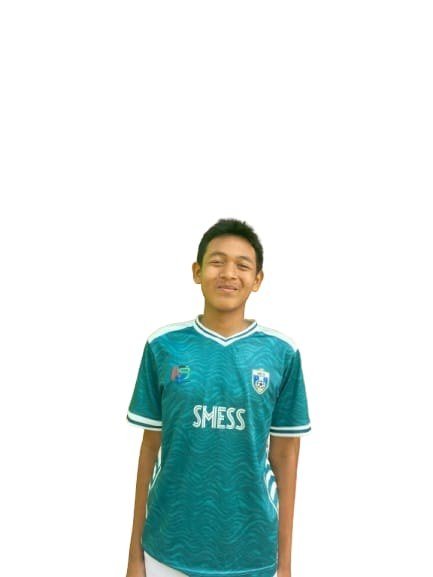 raffi ansar