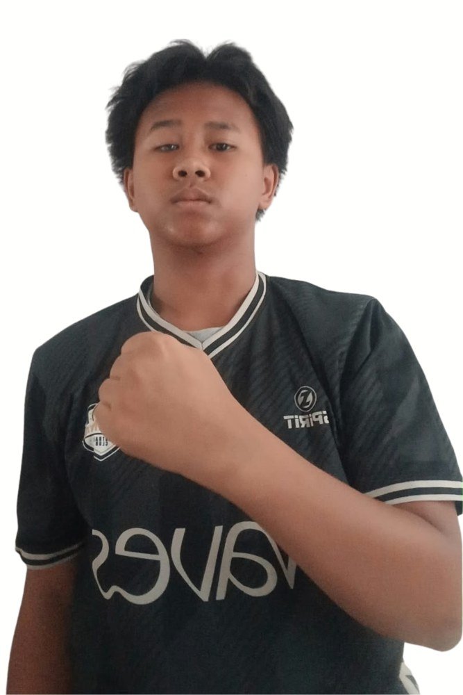 Nicholas Arfa