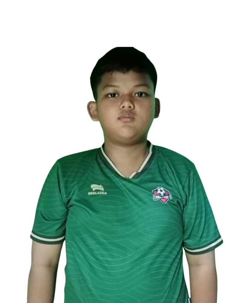 Pajri Putra Dahisa
