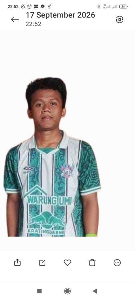 M. Demian Rahman